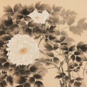 横山大観 白牡丹