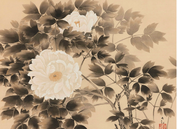 横山大観 白牡丹