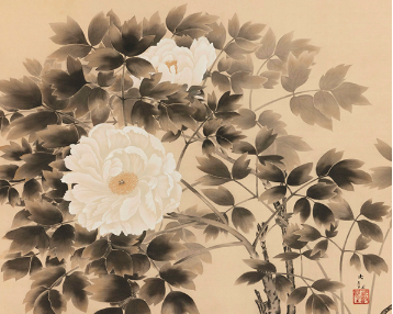 横山大観 白牡丹