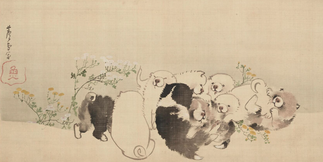 長沢蘆雪《菊花子犬図》