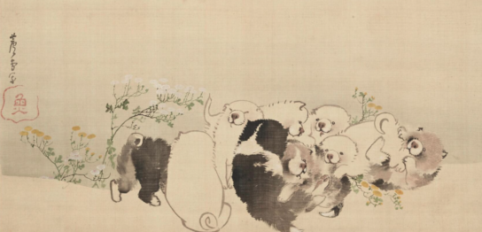 長沢蘆雪《菊花子犬図》